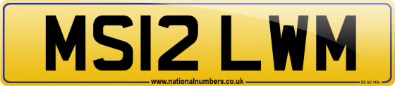 MS12 LWM