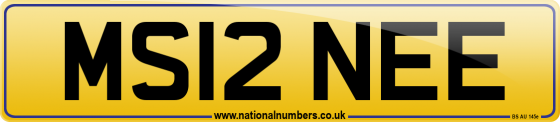 MS12 NEE