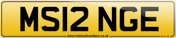 MS12 NGE