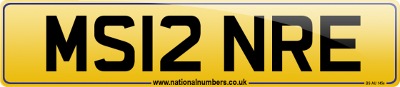 MS12 NRE