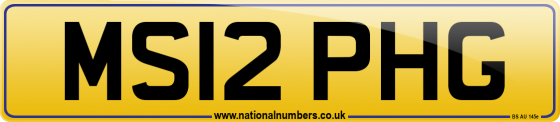MS12 PHG