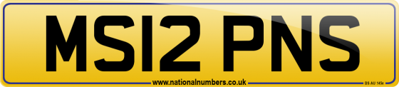 MS12 PNS