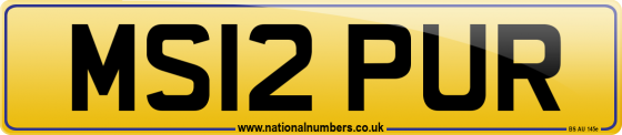 MS12 PUR