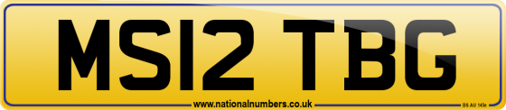 MS12 TBG