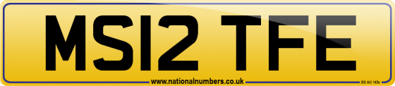 MS12 TFE