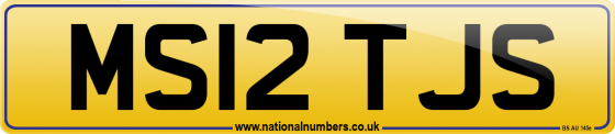 MS12 TJS