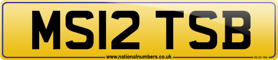 MS12 TSB