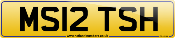 MS12 TSH