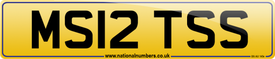 MS12 TSS