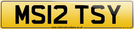 MS12 TSY