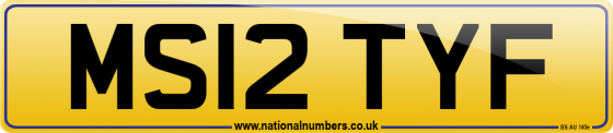 MS12 TYF