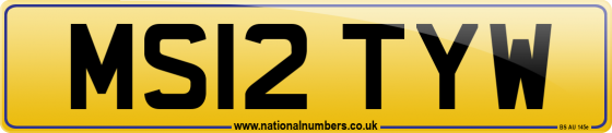 MS12 TYW