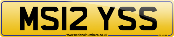 MS12 YSS