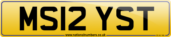 MS12 YST