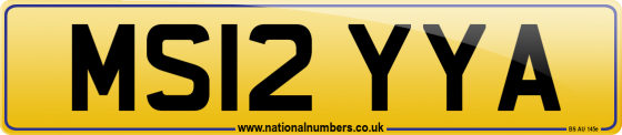 MS12 YYA