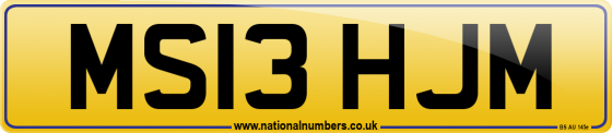 MS13 HJM