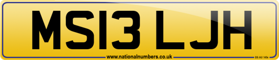 MS13 LJH