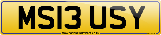 MS13 USY