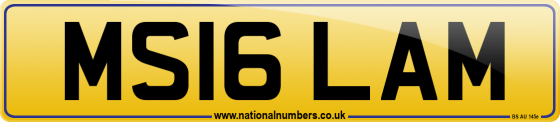 MS16 LAM