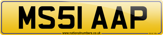 MS51 AAP