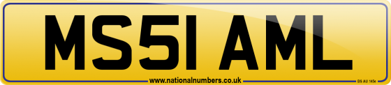 MS51 AML