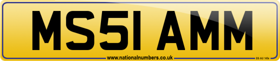 MS51 AMM