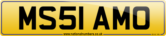 MS51 AMO