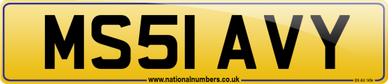 MS51 AVY