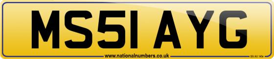MS51 AYG