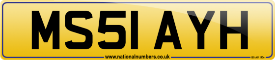MS51 AYH