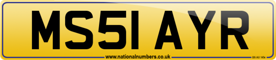 MS51 AYR