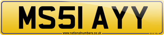 MS51 AYY