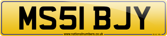 MS51 BJY