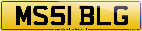 MS51 BLG
