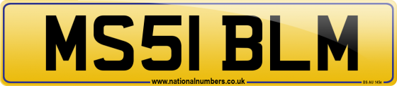 MS51 BLM