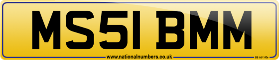 MS51 BMM