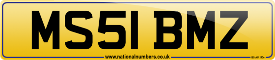 MS51 BMZ