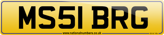 MS51 BRG