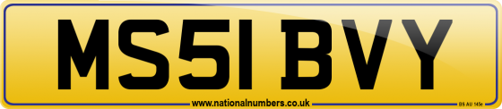 MS51 BVY
