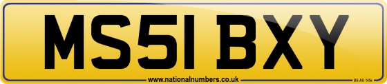 MS51 BXY