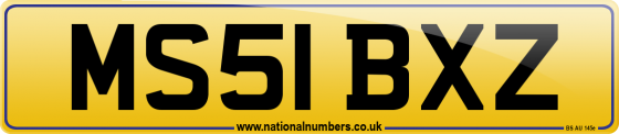 MS51 BXZ