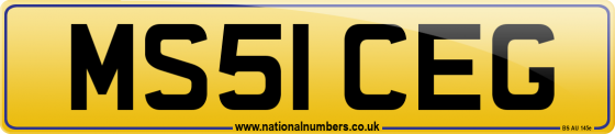MS51 CEG