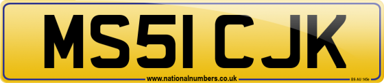 MS51 CJK