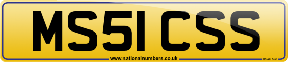 MS51 CSS