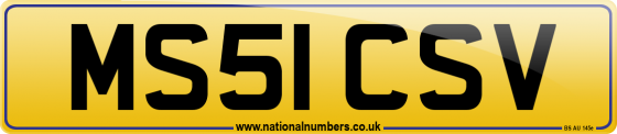 MS51 CSV