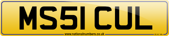 MS51 CUL