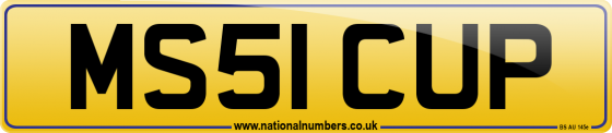 MS51 CUP