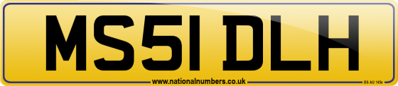 MS51 DLH