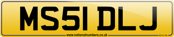 MS51 DLJ