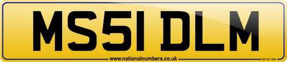 MS51 DLM